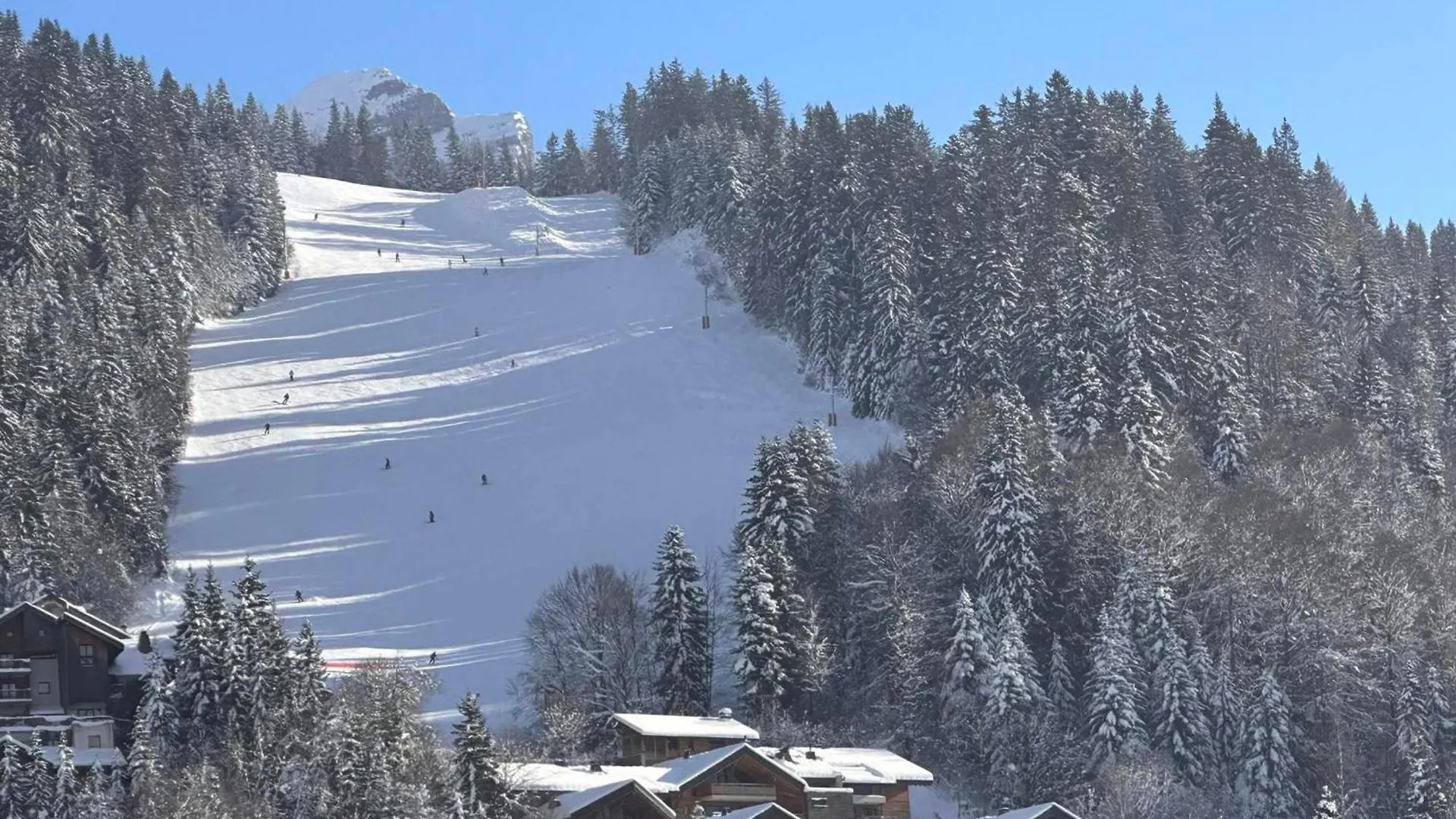 Charme Au Centre D'Araches : 2 Pieces + Coin Montagne, 4/5 Pers, Proche Pistes Et Commerces - Fr-1-572-154 Les Carroz d'Araches 0*,